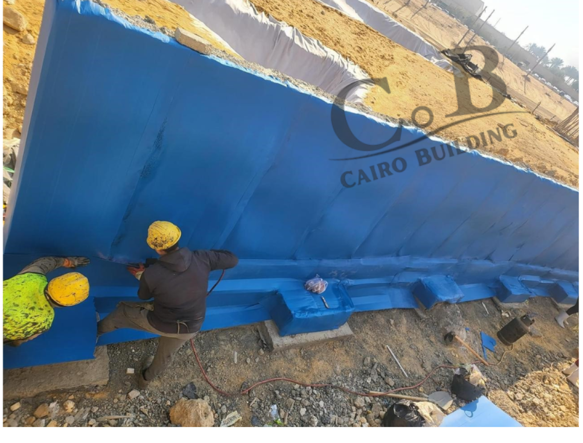 الكارتونال